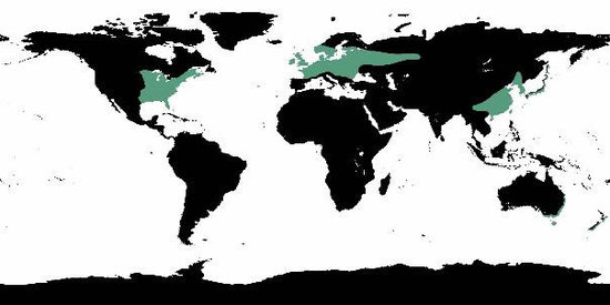 World Map Temperate Deciduous Forests